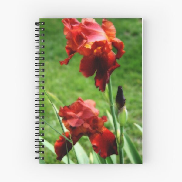Item preview, Red iris in bloom designed and sold by AndrewBlake.
