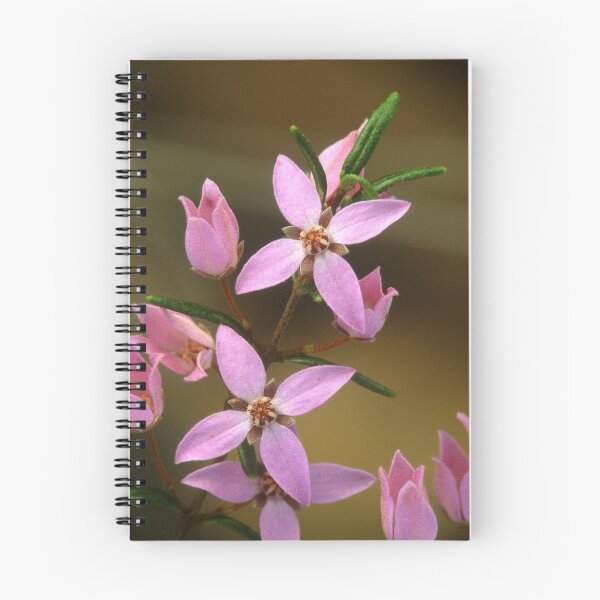 Item preview, Sydney Boronia designed and sold by ChrisRoss.