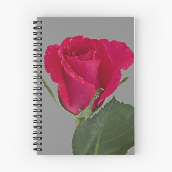 Item preview, Raindrops on Rose designed and sold by Steve plowman.