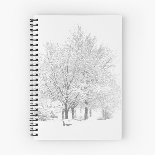 Aperçu de l'œuvre Snowfall créée et vendue par HELUA.