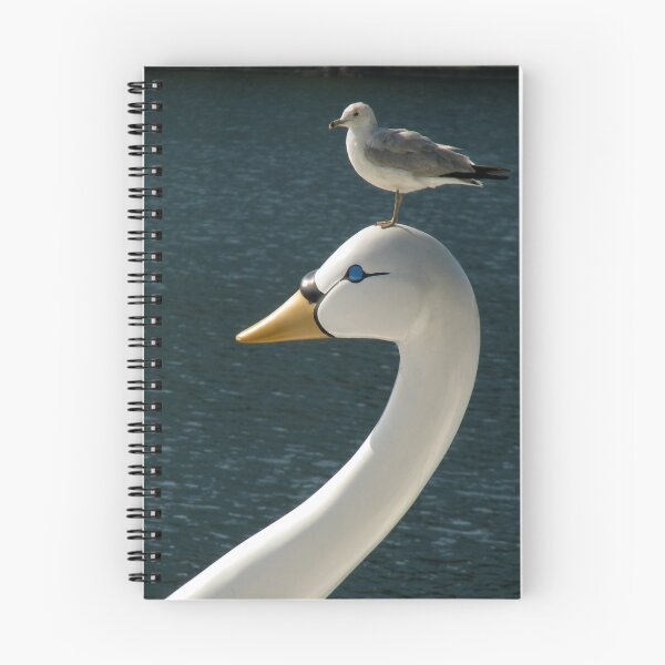 Item preview, Bird On Bird designed and sold by Rebecca Cruz.