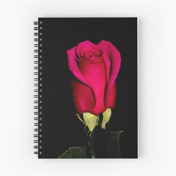 Item preview, The Rose designed and sold by cherylc1.