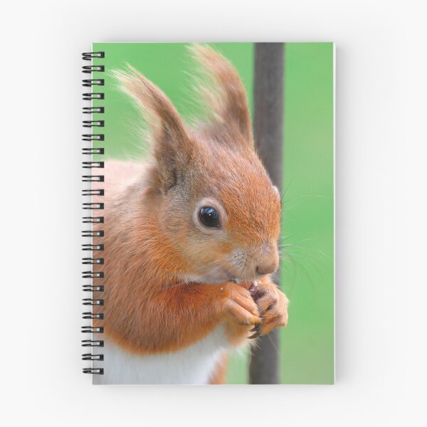 Item preview, Red squirrel in prison!! designed and sold by lepreskil.