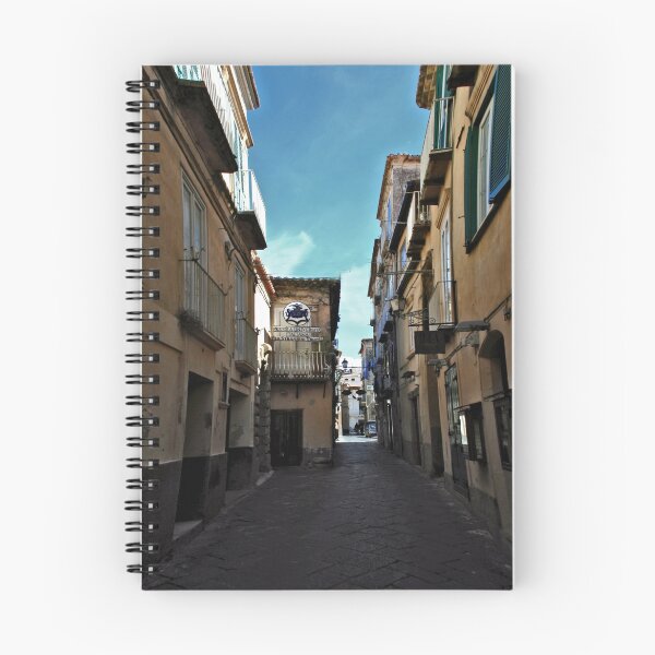 Item preview, Piccolo Universita Italiana alleyway designed and sold by BizziLizzy.