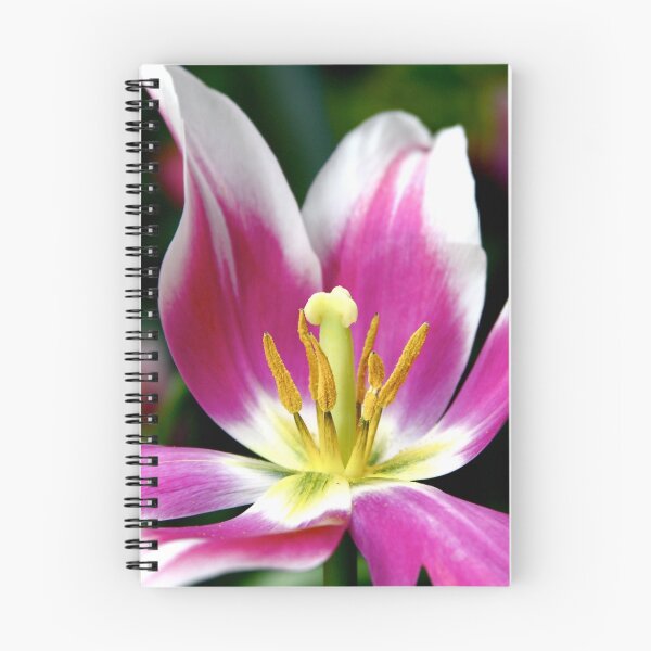 Item preview, Hot Pink Tulip designed and sold by Kelly Pierce.
