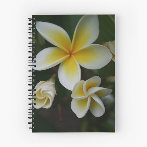 Item preview, Frangipani  designed and sold by Jacqueline Marchant.