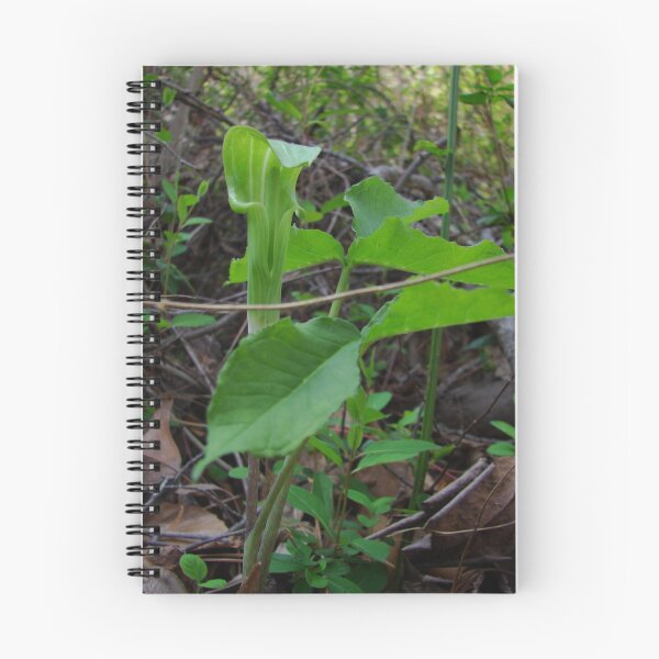 Artikelvorschau, jack in the pulpit entworfen und verkauft von RDRAKEPERKINSON.