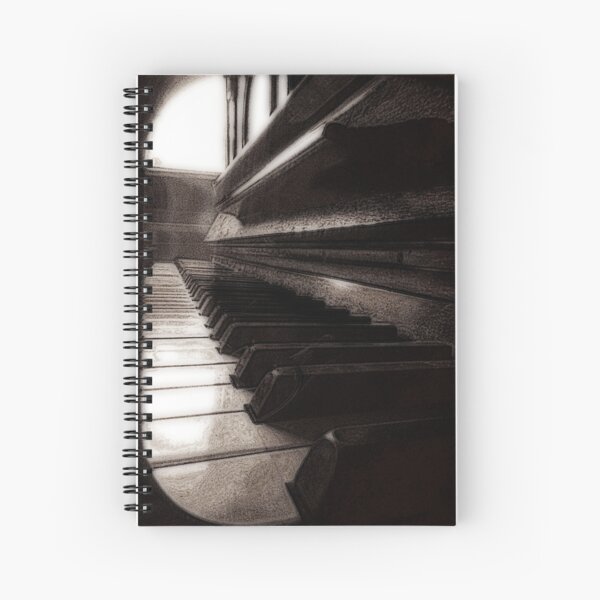 Won't somebody play me? - derivative teatment Spiral Notebook