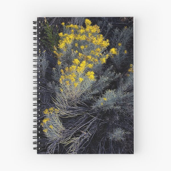 Item preview, Desert Flora designed and sold by toby snelgrove  IPA.