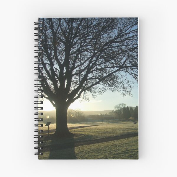 Item preview, celebration tree designed and sold by dinghysailor1.