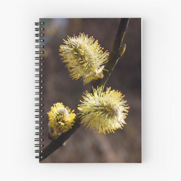 Item preview, Catkins designed and sold by mikepom.