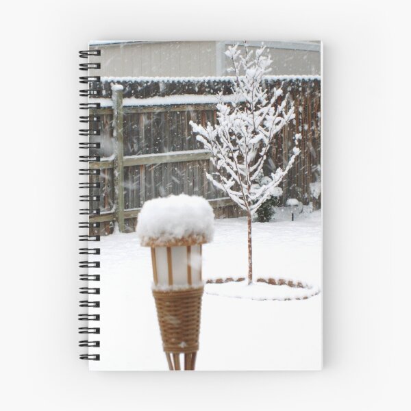 Aperçu de l'œuvre Hopefully last snow storm créée et vendue par Lori Durocher.
