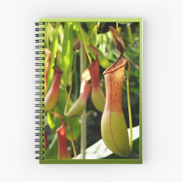 Artikelvorschau, Pitcher plant entworfen und verkauft von PeaceM.