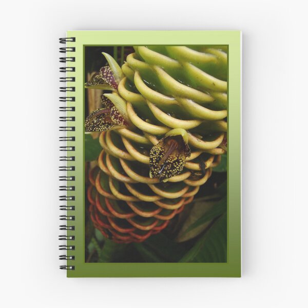 Item preview, beehive series - detail designed and sold by PeaceM.