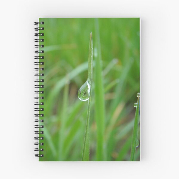 Artikelvorschau, Dew Drop  entworfen und verkauft von Wendella Sager.