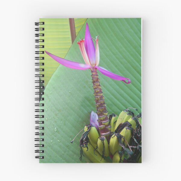 Item preview, baby bananas designed and sold by Cornelia Togea.