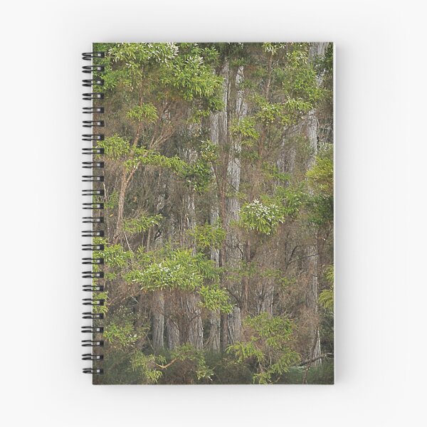 Item preview, Tall trees designed and sold by Liv Stockley.