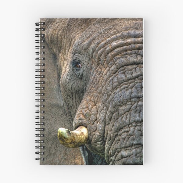 Item preview, The Look - Enhanced designed and sold by Gerry Van der Walt.