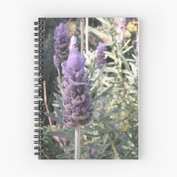 Item preview, Lavender designed and sold by seelisk.