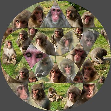 Artwork thumbnail, The Many Faces of Snow Monkeys by Alternative Perspectives