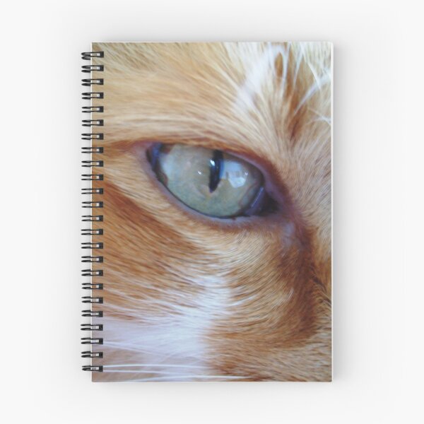 Item preview, The eye of the Tiger designed and sold by Lori Durocher.