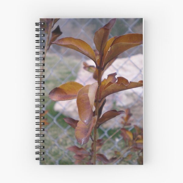 Item preview, Fall Leaves designed and sold by peja.