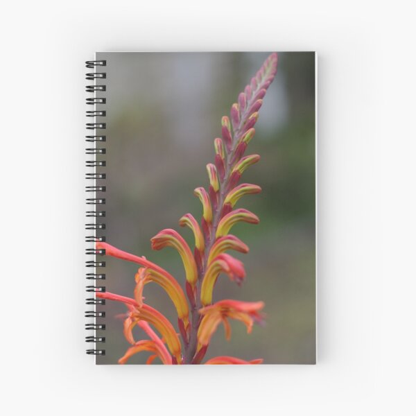 Simplicity Itself Spiral Notebook
