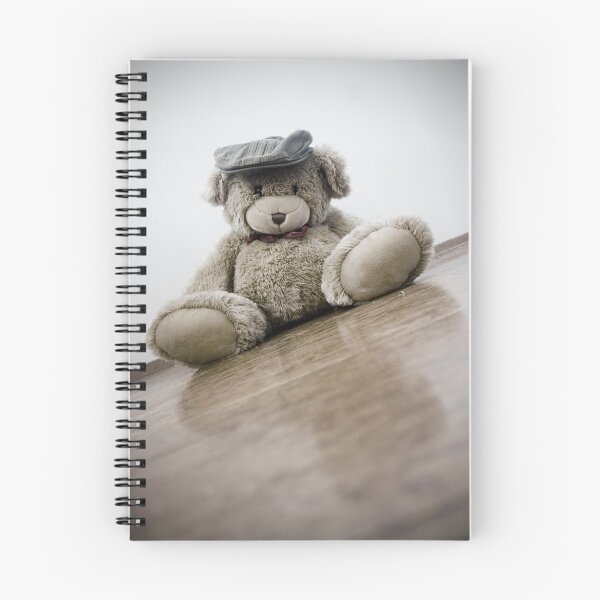 Item preview, Sliding Bear designed and sold by Jódís Eiríksdóttir.