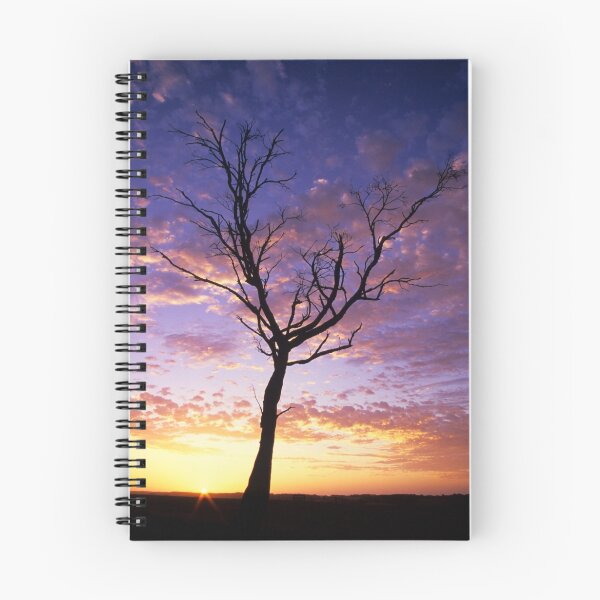 Item preview, Waratah North Sunset designed and sold by Travis Easton.