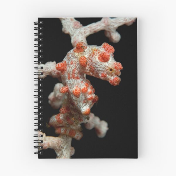 Item preview, ? Seahorse  designed and sold by T Pryke.