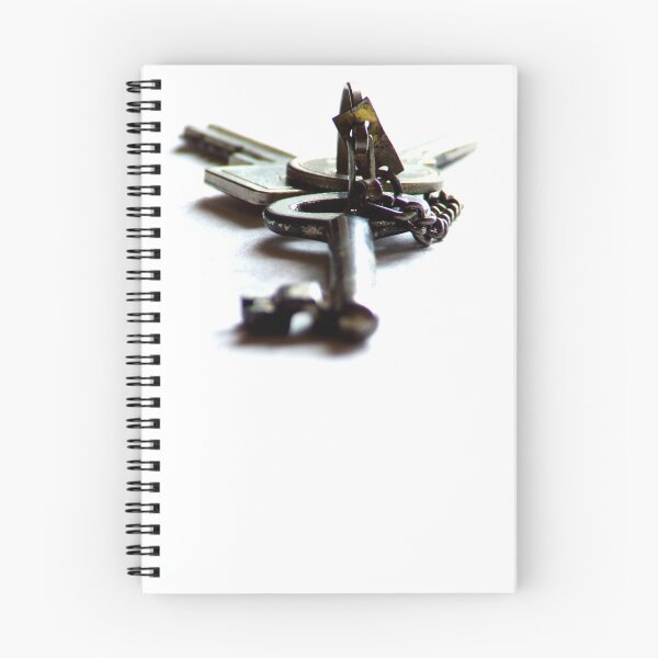 Item preview, The Key designed and sold by TriciaDanby.