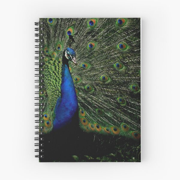 Item preview, Flash designed and sold by Cheri  McEachin.