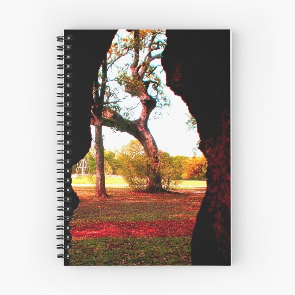 Item preview, Through the eye of a Tree designed and sold by Anita Schuler.