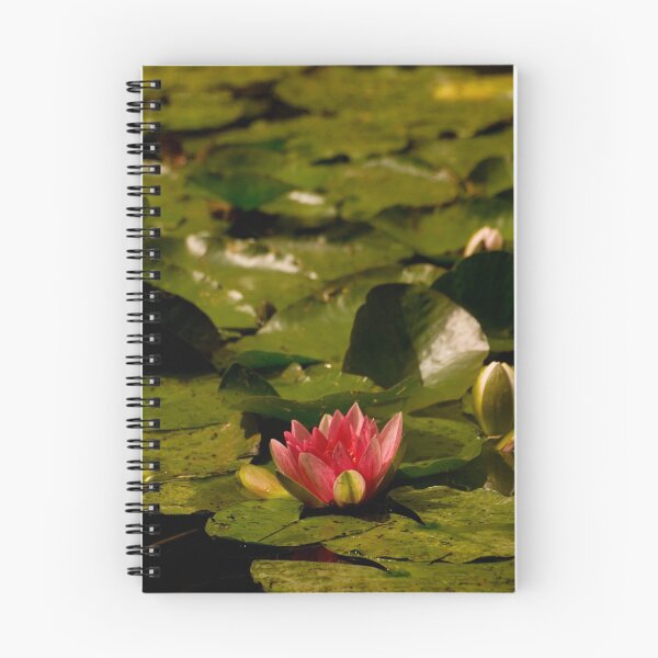 Item preview, Monet's Water lily at Giverny, France designed and sold by Suraj Mathew.