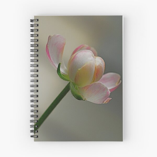 Item preview, Portrait Of A Tulip designed and sold by Michele Duncan IPA.