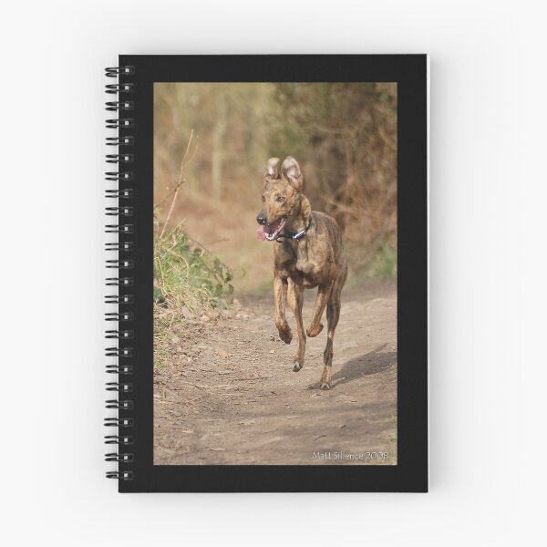 Item preview, Enjoying her walk at Haughmond Hill designed and sold by Matt Sillence.