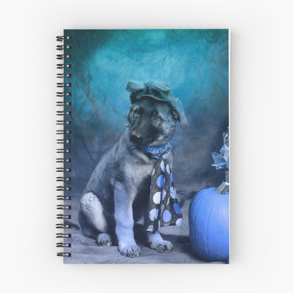 Artikelvorschau,  es belegt den zweiten Platz.
! http: //images-3.redbubble.com/img/art/mattecolor: schwarz / Produkt: mattierter Druck / Ansicht: Vorschau / 965328-1-zorba.jpg! entworfen und verkauft von Nancy Stafford.