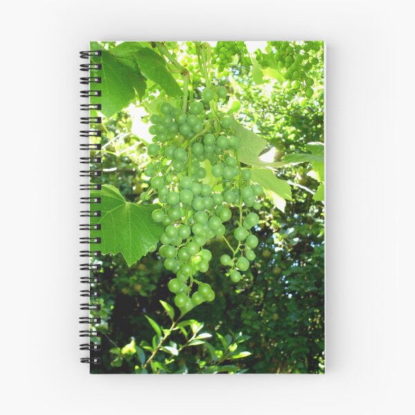 Item preview, Green grapes designed and sold by Paige.