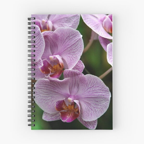 Item preview, Kandy Botanical Garden designed and sold by Kylie Reid.