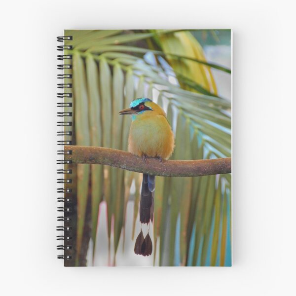 Item preview, Tropical Motmot designed and sold by denisegladwell.