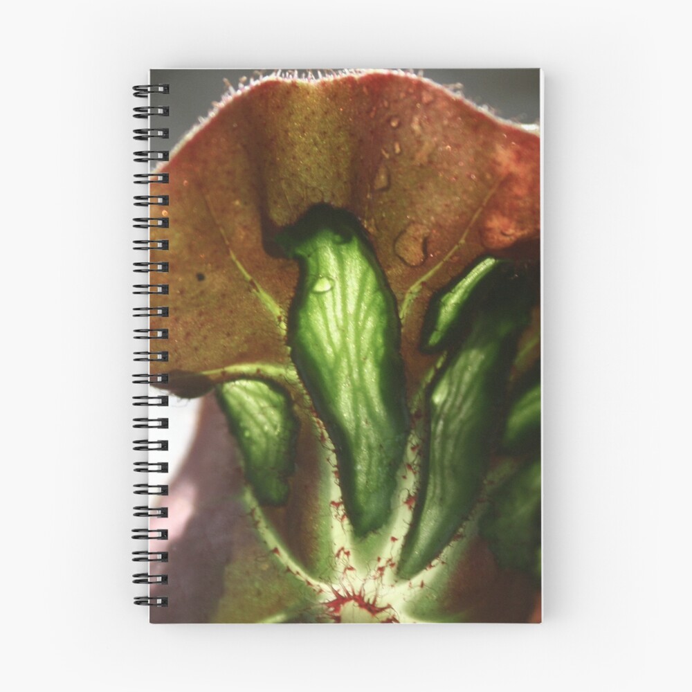 Item preview, Spiral Notebook designed and sold by picketty.