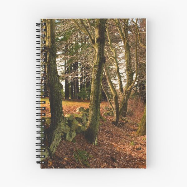 Item preview, Trees designed and sold by EvaMcDermott.