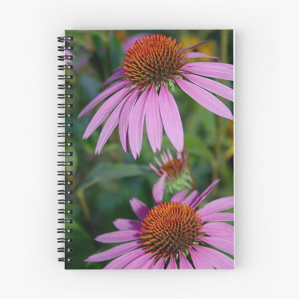 Item preview, Purple Coneflower    designed and sold by Scott Englund.