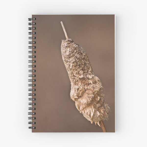 Item preview, bullrush designed and sold by cherylc1.