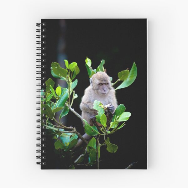 Item preview, Cheeky Monkey designed and sold by Mili Wijeratne.