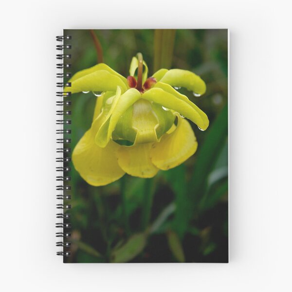 Item preview, Pitcher Plant Bloom designed and sold by Jonicool.