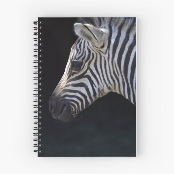 Item preview, BABY ZEBRA designed and sold by garycraft.