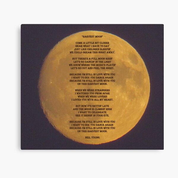 harvest moon lyrics neil young