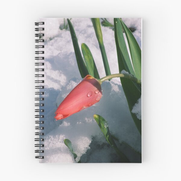Item preview, Sheltering Tulip designed and sold by Sparks68.