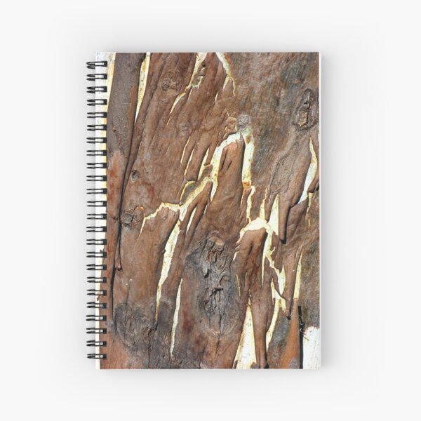 Mocha Cafe Latte Spiral Notebook
